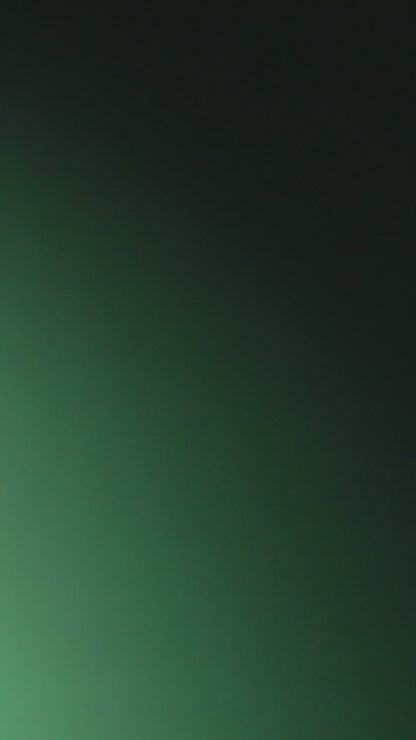 2025 Nahvalur Fountain Pen Day LE Nautilus - EMERALD